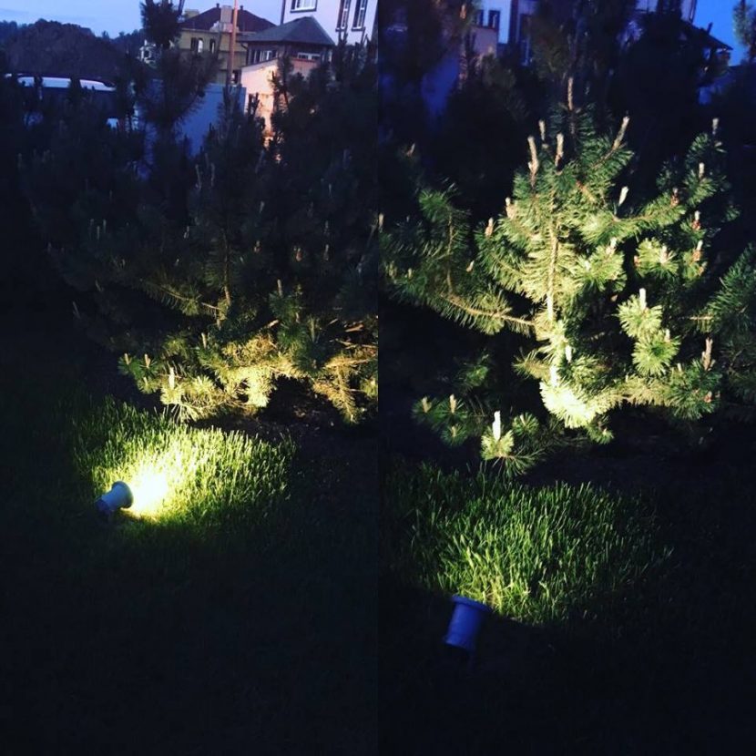 Подсветка растений