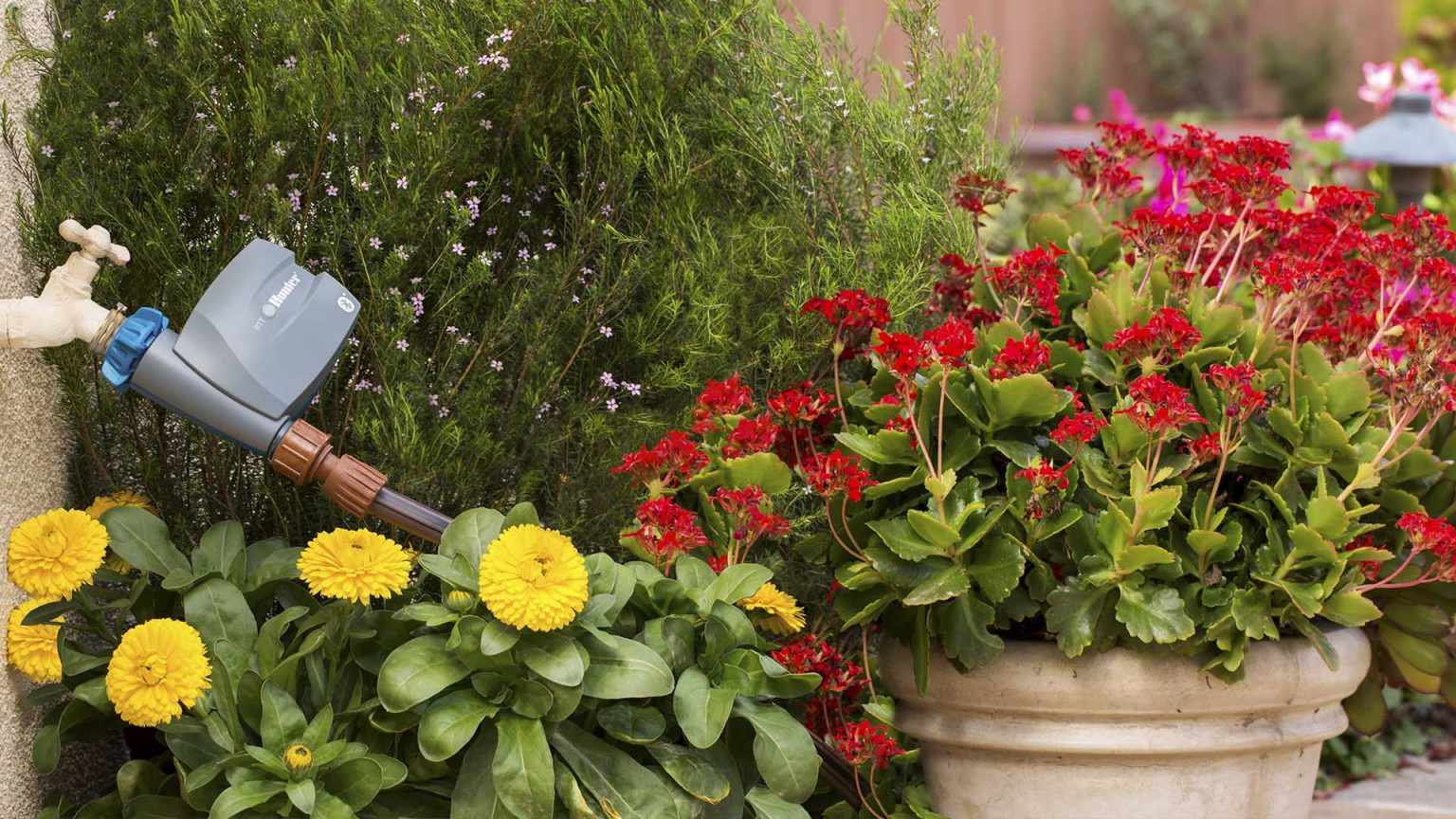 Автоматический полив| Два луча| Автоматический полив